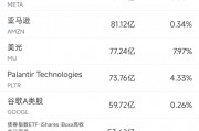 12月20日美股成交額前20：Palantir獲瑞銀看好，股價(jià)大漲8.5%