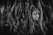 夢(mèng)中遇見(jiàn)的皇后——一場(chǎng)神秘的夢(mèng)境之旅，夢(mèng)中遇見(jiàn)的皇后，神秘夢(mèng)境之旅的邂逅