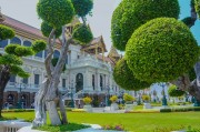 夢中的李子樹，一段心靈的旅程，夢中的李子樹，心靈的旅程之旅