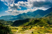 夢(mèng)中的雞鳴，一場(chǎng)神秘的夢(mèng)境之旅，夢(mèng)中的雞鳴，神秘夢(mèng)境之旅