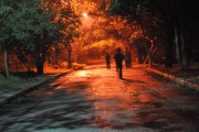 夢(mèng)中奔跑的啟示，夢(mèng)中奔跑的啟示