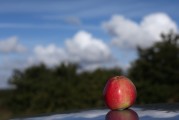 一、引言，探討人工智能在醫(yī)療領(lǐng)域的應(yīng)用，當(dāng)前現(xiàn)狀與未來展望