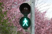 新車輪胎發(fā)黃的原因是什么？如何預(yù)防和處理這一問題？