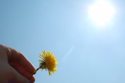 夢(mèng)中的朋友，大肚子的寓意，夢(mèng)中的朋友與大肚子的寓意