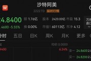 中東股市大跌，沙特阿美暴跌900億美元！