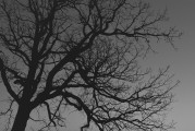 夢(mèng)中的驚悚之影——夢(mèng)到別人殺人的心理解析，夢(mèng)中的心理解析，殺人夢(mèng)境的驚悚與解讀