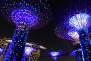 藍球之夢，一場夢幻的籃球之旅，藍球之夢，一場夢幻的籃球之旅