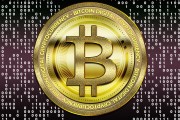 揭秘流量賺錢網(wǎng)站，如何利用互聯(lián)網(wǎng)紅利實(shí)現(xiàn)財(cái)富增長
