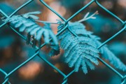 國外網(wǎng)站如何利用谷歌SEO進(jìn)行有效推廣，谷歌SEO攻略，國外網(wǎng)站高效推廣秘籍，谷歌SEO攻略，國外網(wǎng)站高效國際推廣秘籍