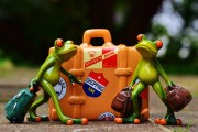 僵尸戰(zhàn)爭，如何輕松注冊，開啟你的戰(zhàn)斗之旅！輕松注冊，加入僵尸戰(zhàn)爭，開啟你的驚心動(dòng)魄戰(zhàn)斗之旅！