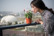 夢(mèng)中邂逅，女孩的神秘世界，夢(mèng)中邂逅，女孩的神秘世界