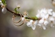 夢中之筆，一篇關(guān)于夢到文章的探索