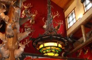 游戲盛宴，盤點(diǎn)市面上最熱門的免費(fèi)網(wǎng)游游戲大全，年度爆款免費(fèi)網(wǎng)游盤點(diǎn)，你最愛的是哪一款？