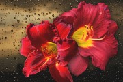 妃容天下游戲全線上免費！你還在等什么？這款以歷史背景和精美畫面為題材的手機(jī)游戲，即將在全線上全面開啟。，妃容天下手游預(yù)約開啟