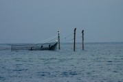 夢(mèng)中的魚影，一次自我探索的殺魚夢(mèng)，夢(mèng)中之魚影，一次自我探索的殺魚夢(mèng)境