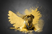 夢到路上撿錢，財(cái)富的預(yù)兆還是虛幻的夢？