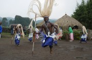 夢(mèng)中的芒果之旅，夢(mèng)游芒果之旅