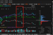 祥源文旅非經(jīng)營性資金占用雖已歸還，但仍被出具警示函！