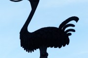 夢(mèng)中的蛇咬人，解讀與解析，夢(mèng)中的蛇咬人，解讀與解析