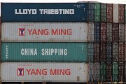 流量費(fèi)網(wǎng)站的崛起與影響，流量費(fèi)網(wǎng)站的發(fā)展與趨勢(shì)，對(duì)消費(fèi)者和運(yùn)營(yíng)商的影響