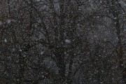 夢中雪舞，心靈的洗禮，夢中雪舞，心靈的洗禮