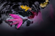 論安琪拉免費(fèi)游戲的影響力，安琪拉，一個(gè)免費(fèi)游戲的魅力及其對(duì)游戲行業(yè)的深遠(yuǎn)影響