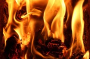 行尸走肉游戲免費下載，讓你在末日中找尋生存之道，高清免費的行尸走肉游戲大放送，末世求生必備神器