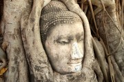 游戲中的情感釋放，憤怒與自由，深度解析，游戲中的情感釋放、憤怒與自由