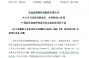 因涉嫌信息披露違法違規(guī)，先鋒新材及總經(jīng)理盧先鋒被立案