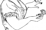 女人夢(mèng)到黑蛇，解讀與解析，女人夢(mèng)到黑蛇，解讀與解析