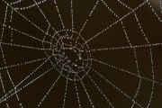 智能交通流量管理與預(yù)測，智能交通流量管理，未來發(fā)展趨勢與應(yīng)用解析