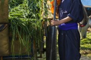 能在掙錢的免費農場游戲中生存下去嗎？，逃脫農地，自由農場生存挑戰(zhàn)
