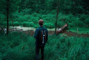 憤怒的小鳥2免費(fèi)游戲，開啟你的綠色飛行之旅