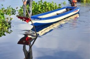 夢中魚游——一場關于小魚的夢境之旅，夢中魚游，一場關于小魚的夢境之旅
