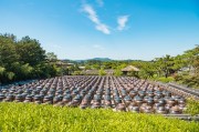 打造空中農田，讓夢想照進現(xiàn)實——免費種地游戲的探索與啟示，空中農田，挑戰(zhàn)、機遇與啟示——一個免費種地游戲的探討