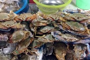 夢中奇遇，螃蟹與魚的共舞，夢中奇遇，螃蟹與魚的共舞