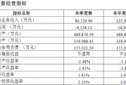 綜合成本率超300%！比亞迪財(cái)險開業(yè)首年保費(fèi)勁增13億 全年虧損約1.7億 精簡高管團(tuán)隊(duì)攜手如何破局？