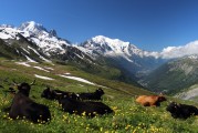 自由的纜車上山之旅，纜車旅行，一次自由探索山區(qū)的美妙體驗(yàn)