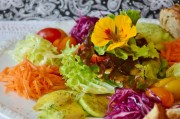 探索美食的樂(lè)趣，制作漢堡游戲免費(fèi)下載，漢堡大戰(zhàn)，模擬漢堡制作大師