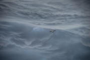 翱翔太空的戰(zhàn)爭游戲——星際爭霸，星際爭霸，浩瀚宇宙中的英勇對決