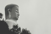 夢中與母親爭吵的反思，夢中與母親爭吵的深度反思