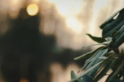 漫漫的ACG之路，尋找和熱愛(ài)的那份樂(lè)趣，ACG之路上，探索與熱愛(ài)的樂(lè)趣