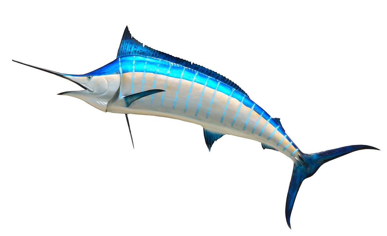 無限制的海洋冒險，游戲釣魚免費下載體驗
