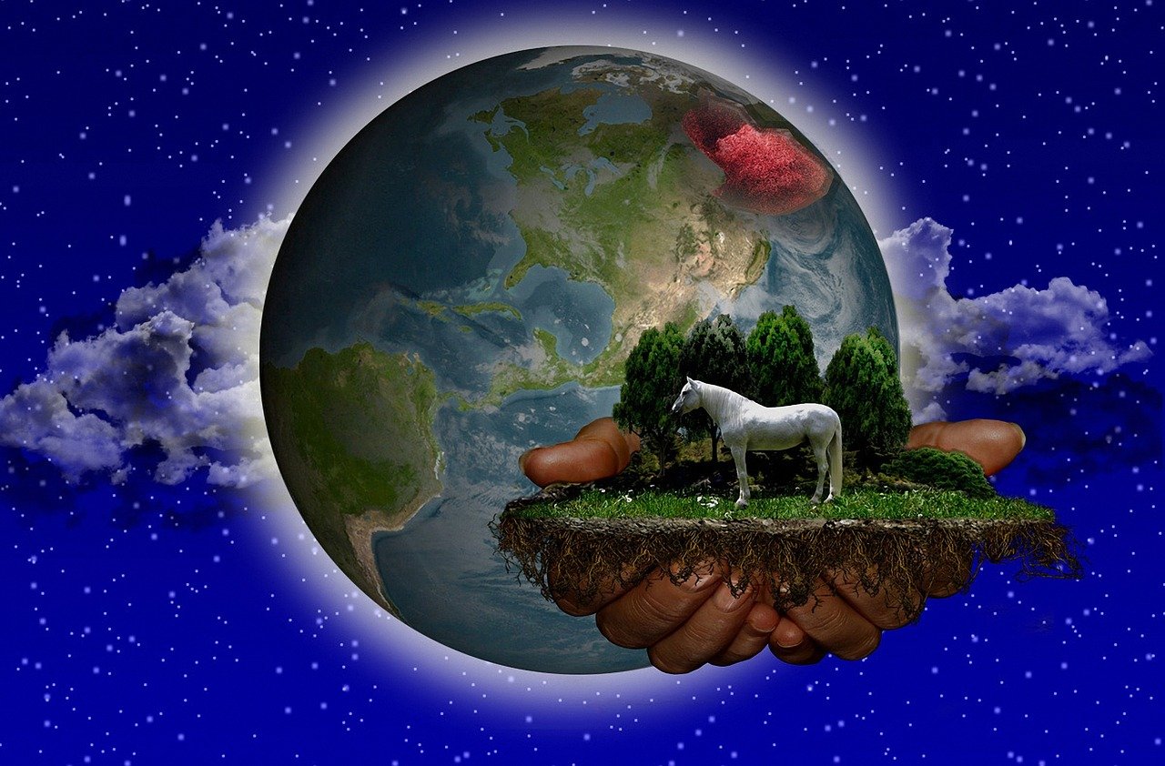 探索虛擬現(xiàn)實的世界，VR免費游戲下載地址指南