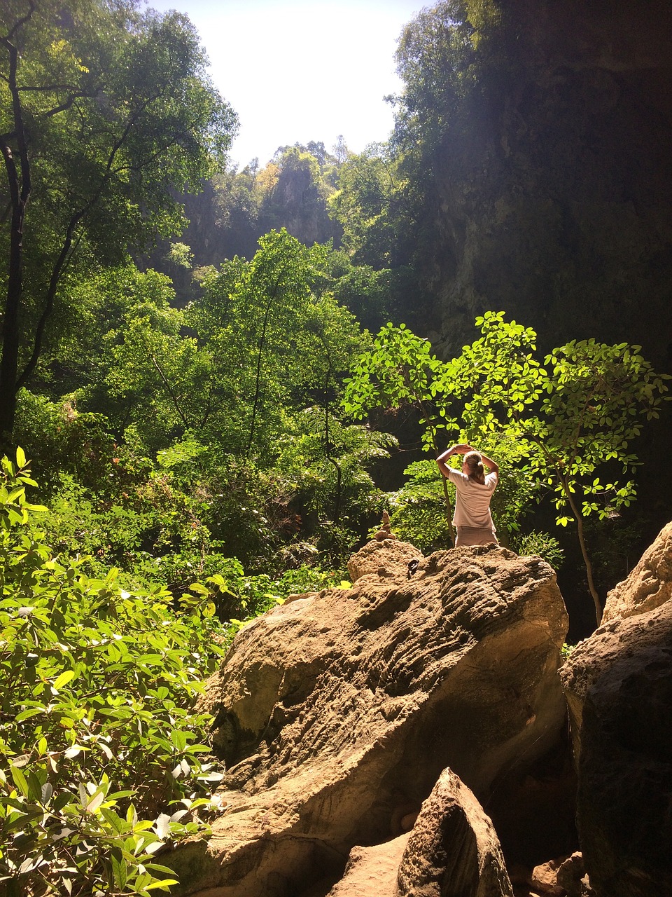 山路之夢(mèng)，探索未知的旅程