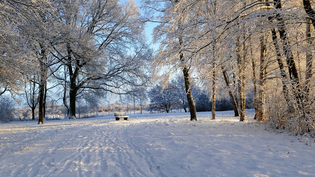冰雪奇緣游戲——讓你置身于一個全新的冰雪世界！