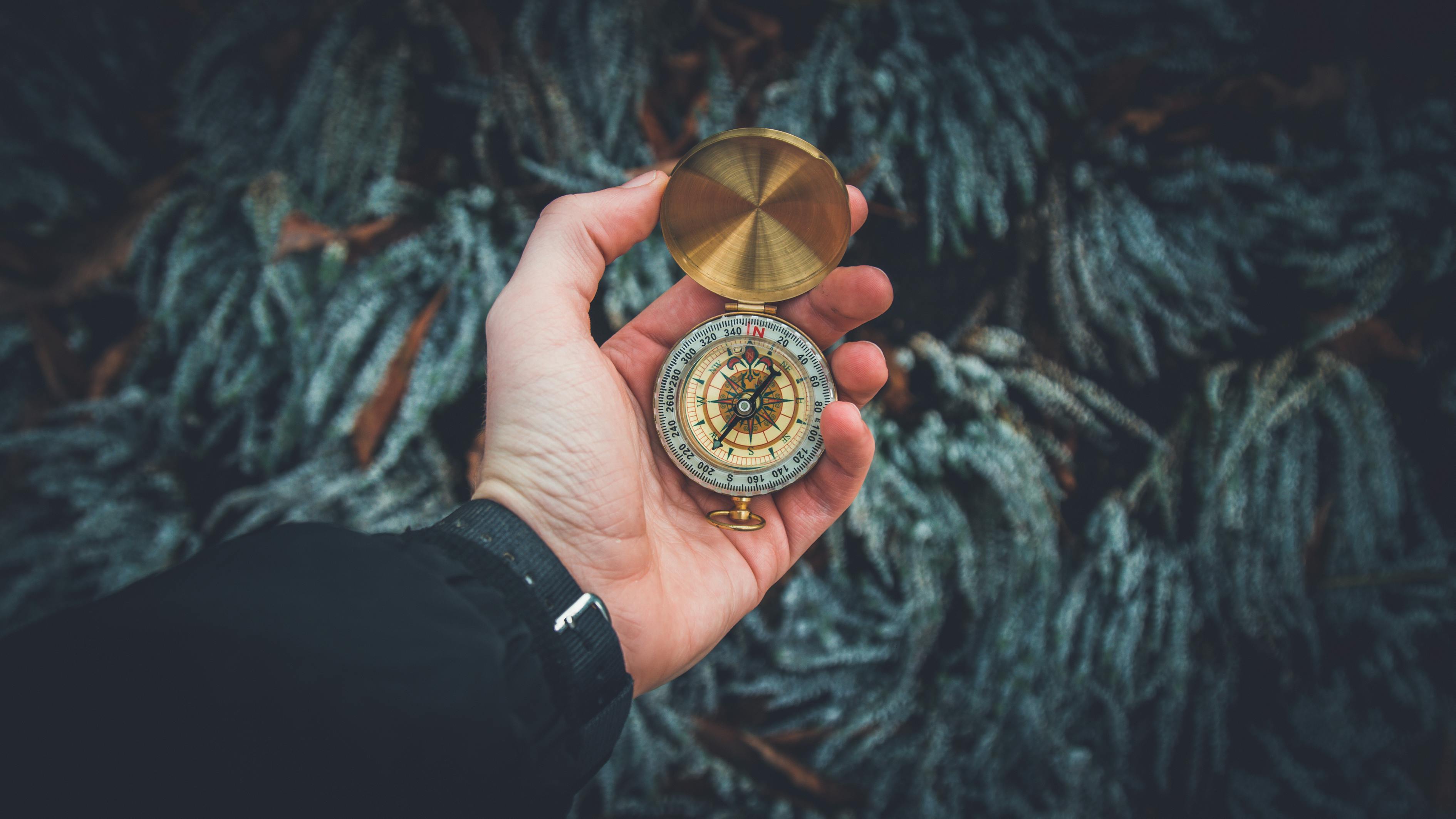 金夢之緣，一場關(guān)于撿金子的夢境探索