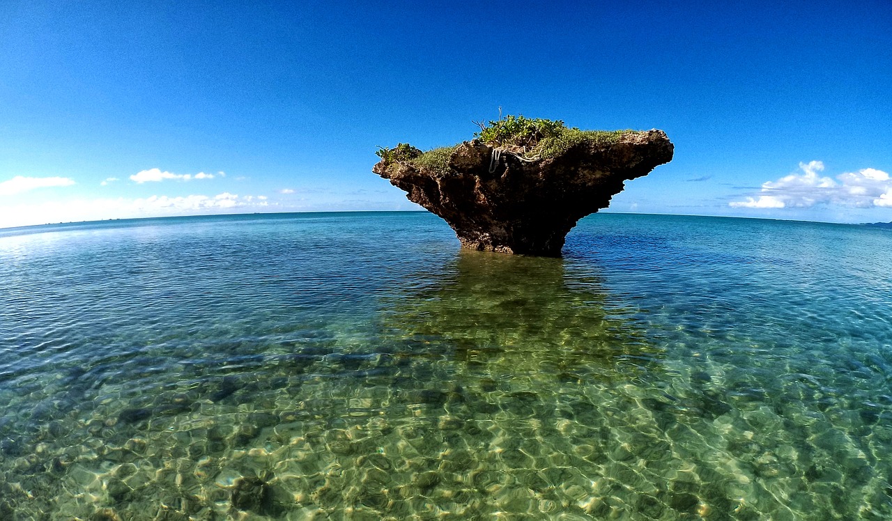 鯊魚游戲免費(fèi)下載，帶你體驗(yàn)最真實(shí)的海洋世界