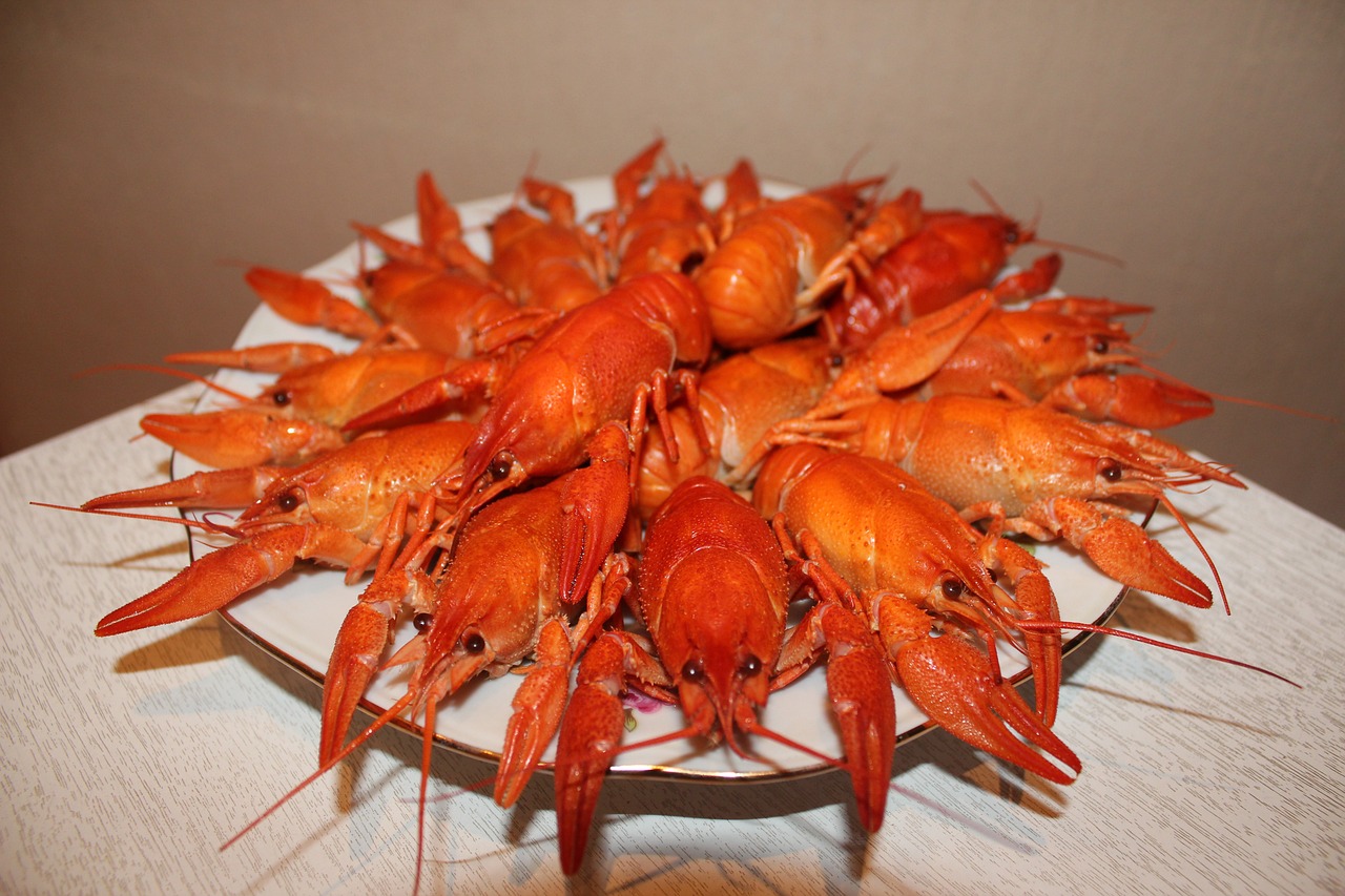 夢(mèng)中的美食之旅，一次奇妙的龍蝦盛宴