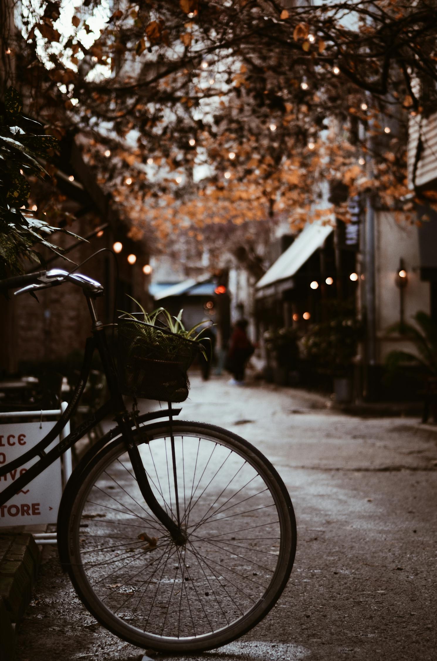 夢(mèng)中的電車之旅，一次難忘的騎行體驗(yàn)